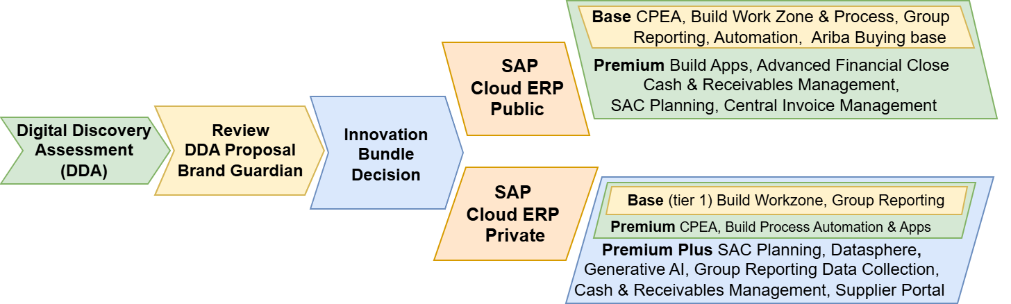 SAP S/4HANA GROW RISE Decision
